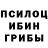 Галлюциногенные грибы мицелий Vasil L.