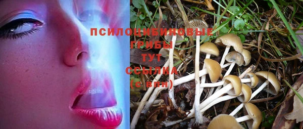 таблы Каменногорск