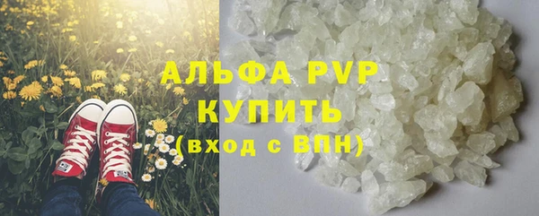 спайс Каменка