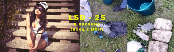крисы Зерноград