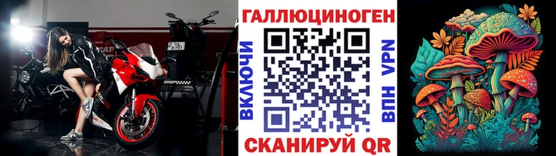 Псилоцибиновые грибы GOLDEN TEACHER  Каменск-Шахтинский 