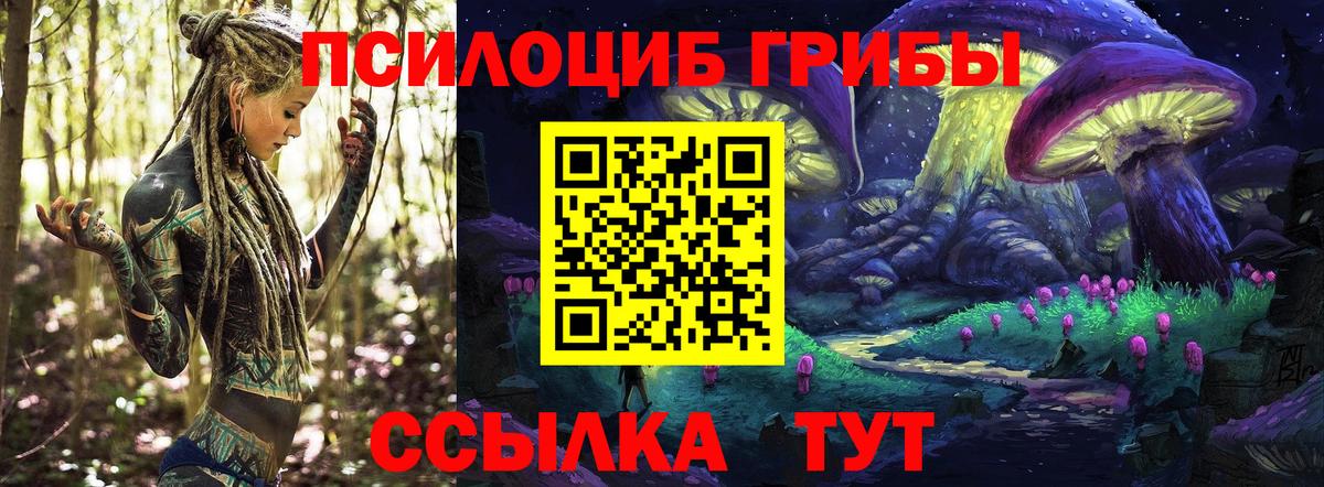 Каменск-Шахтинский  дарнет шоп  Вход с VPN  Галлюциногенные грибы ЛСД  Псилоцибиновые грибы мицелий 